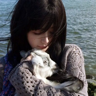 犬神家一族 海报